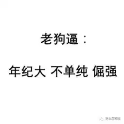 继犬系男孩之后,您的猫系女孩已上线...
