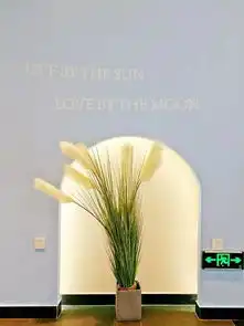 这家餐厅的器皿实在太可爱
