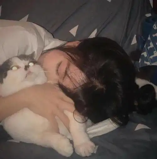 头像图片丨女生头像丨可爱的猫系女头1214
