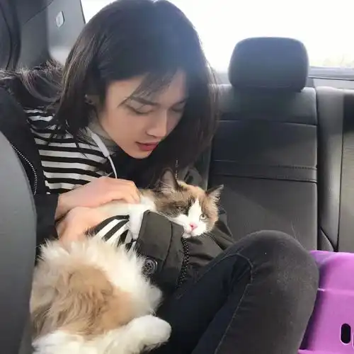 一组猫系女生头像,请签收
