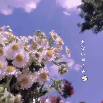浅紫色治愈系背景图月亮悄悄升风景静物头像我要个性网
