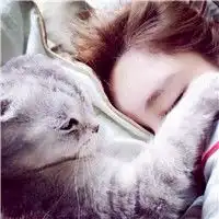 抱猫美女头像,美女抱猫咪的头像图片
