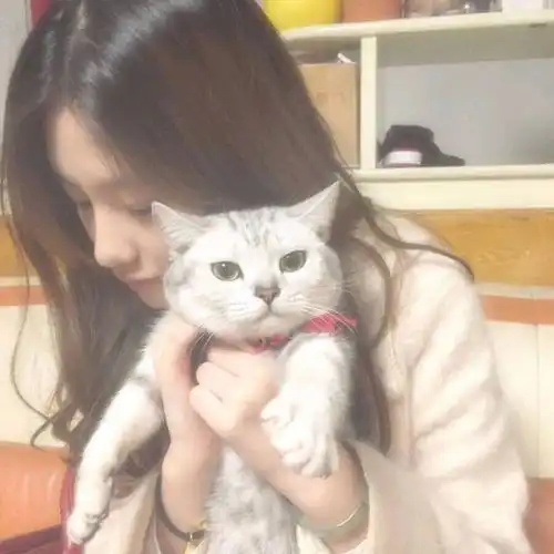 颠覆者周鸿祎也吸猫对,这些科技公司都有猫

