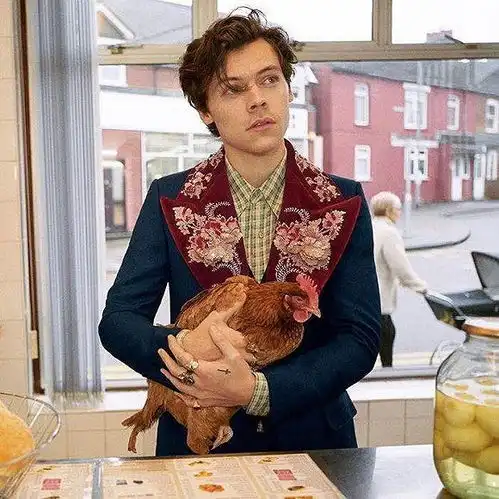 gucci2018秋季男装广告中有宠物鸡和小鲜肉,指望他们带货能成吗
