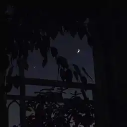 微信朋友圈背景图黑色系
