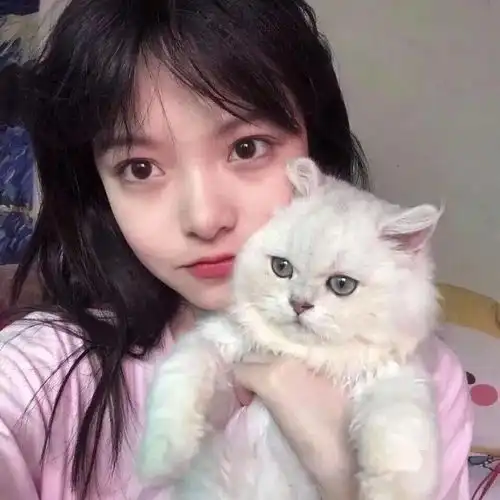 头像图片丨女生头像丨可爱的猫系女头1214
