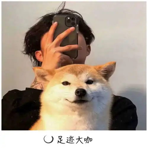 花海代总高音质在线试听花海歌词歌曲下载酷狗音乐

