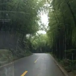 西部竹石林门票,宜宾西部竹石林攻略地址图片门票价格
