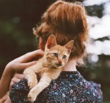你家猫主子不让你抱,可能是你抱猫的姿势出了问题
