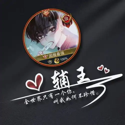 王者荣耀职业辅王签名头像
