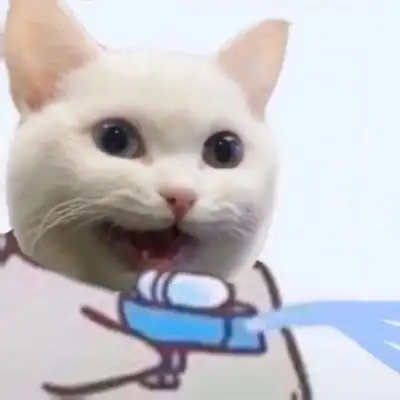 小猫.
