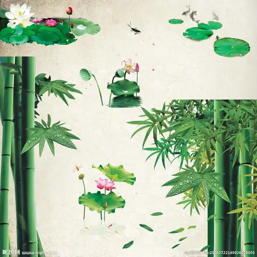 竹子荷花图片
