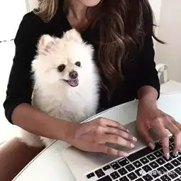 2017欧美头像吧,女生抱狗头像
