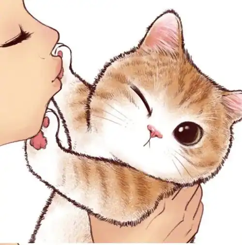 当你亲吻猫咪,它却嫌弃时,走开莫挨老子

