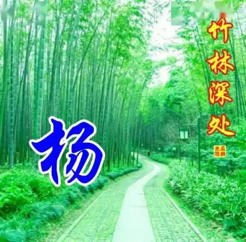 中老年头像大全110张流水生财姓氏头像,竹林深处有人家,几多幽静几多愁,竹林深处姓氏微信头像
