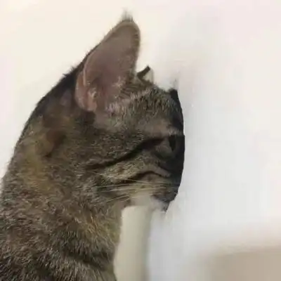 恋爱跟你谈才有意义
