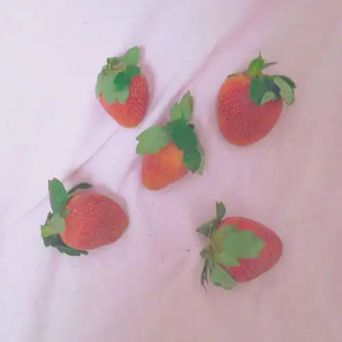 眼光最好,远离花心男的星座女
