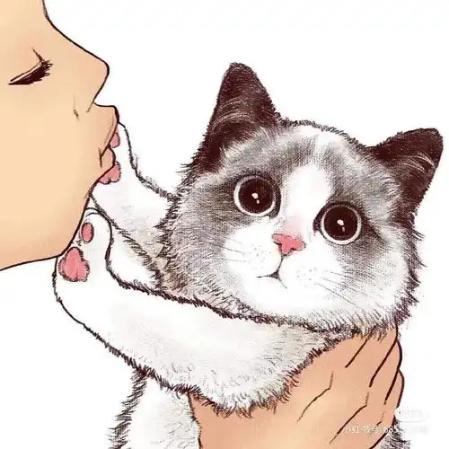猫系治愈乐园软萌登场,今天你吸猫了吗
