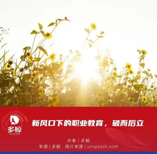 新风口下的职业教育,破而后立
