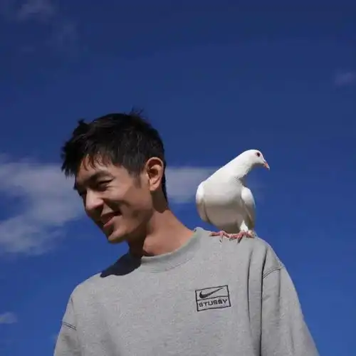 搜狐网
