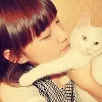 抱猫的男生灰色头像微信头像图片大全
