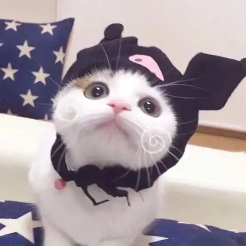 情侣头像一男一女
