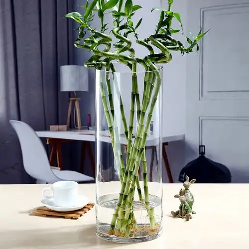 特大号透明玻璃花瓶婚庆路引客厅插花富贵竹水培绿萝水养落地摆件
