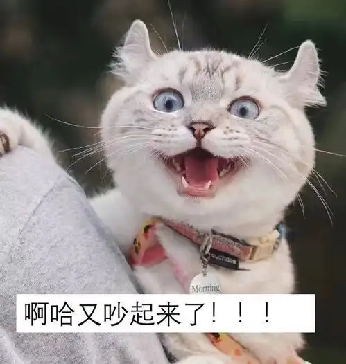 这条信息挽回了我的婚姻
