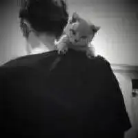 抱着猫的男生头像超清微信头像图片大全
