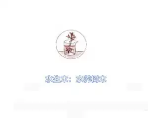 水生木
