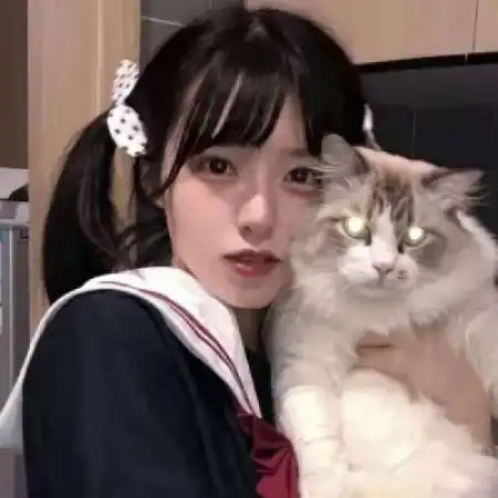 抱猫女生头像,数量不多快快来取晚了没了

