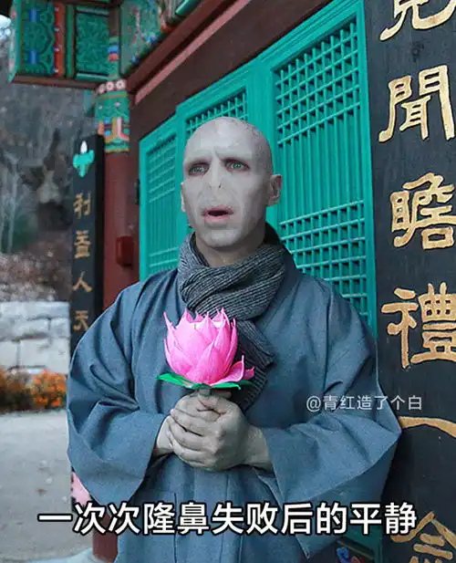 佛法道儒墨,都行可以没关系,新一代的百家争鸣,从你我做起
