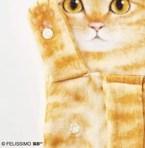 想吸猫又不想当猫奴这款治愈系的猫毛巾或许很适合你
