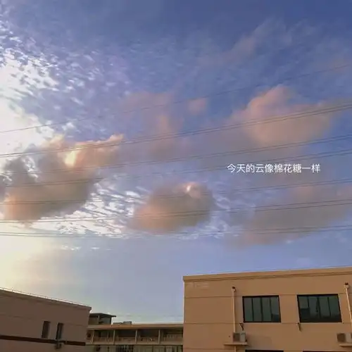 人总有不顺的时候,或疲倦的时候,不必勉强冲刺,不必紧张,不必努
