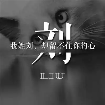 2018年微信百家姓头像,蔡丁隋高冯李程王刘黄
