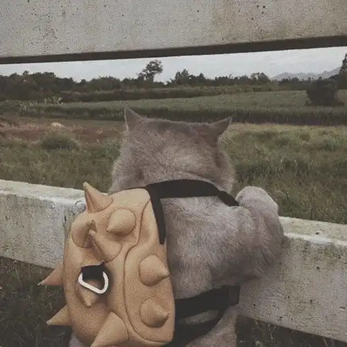 个性搞怪头像
