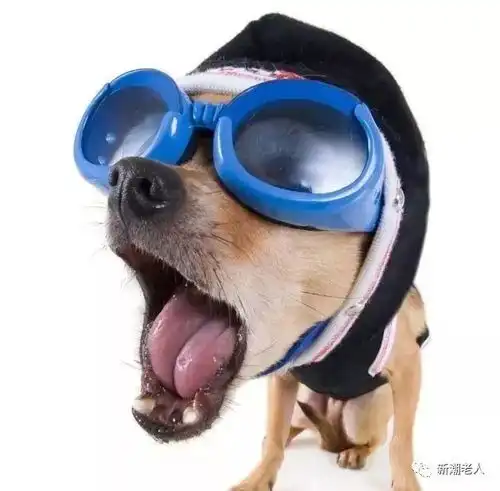 最全的地名谜语,太绝了,够你猜一个夏天了
