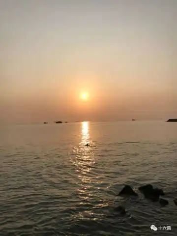 珠海这个鬼地方

