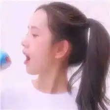 动物头像

