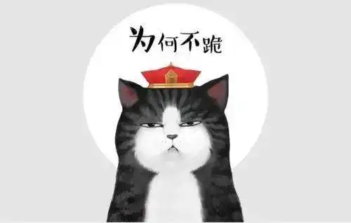 猫事
