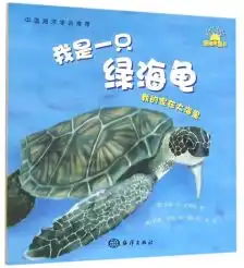 绿海龟标本
