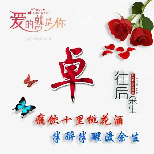 红玫瑰爱情姓氏头像,痛饮十里桃花酒,半醉半醒渡余生
