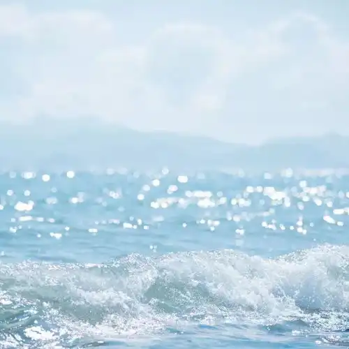 生活如水,才能安然向暖
