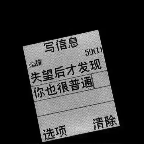 很丧很失落的句子
