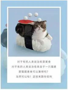 萌猫美食兼得的一家日料馆109元抢原价316元猫迹日料23人套餐,鹅肝炒饭鳗鱼芝士卷天妇罗.
