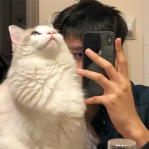 成都cover赵雷
