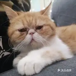 电话,地址,价格,营业时间扬州美食
