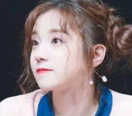 迷恋追星到韩国做练习生,成功出道成妈妈眼中,别人家的粉丝
