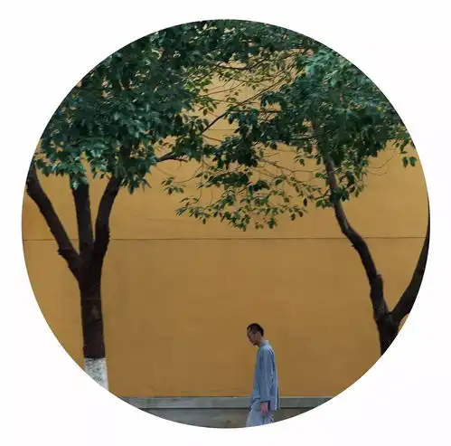 当佛系摄影师遇上佛系青年
