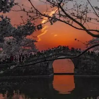 2023最新唯美黄昏风景头像
